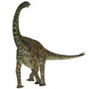 Spinophorosaurus is a sauropod dinosaur from Niger that lived in the Jurassic Period Poster Print - Item # VARPSTCFR200204P