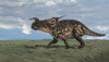 Brown Einiosaurus walking across an open field Poster Print - Item # VARPSTKVA600431P