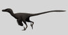 Velociraptor mongoliensis, mid-sized dromaeosaurid dinosaur from the late Cretaceous of Mongolia Poster Print - Item # VARPSTCMA600006P