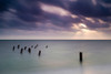 Wooden posts in sea under stormy sky at sunrise, Placencia, Stann Creek, Belize Poster Print - Item # VARPPI166944