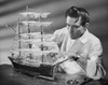 Mid adult man making a model of a sailing ship Poster Print - Item # VARSAL25549177