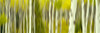 http://c328301.r1.cf1.rackcdn.com/PPI166398S.jpg