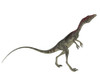 Compsognathus dinosaur, white background Poster Print - Item # VARPSTEDV600179P