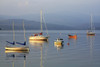 Bantry Bay, County Cork, Ireland PosterPrint - Item # VARDPI1844908