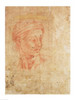 Study of a Head Poster Print by Michelangelo Buonarroti (18 x 24) - Item # BALBAL42709