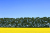 http://c328301.r1.cf1.rackcdn.com/DPI1789336.jpg