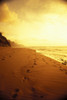 Hawaii, Kauai, Na Pali Coast, Beach At Sunset With Footprints In Sand, Golden Sky And Water PosterPrint - Item # VARDPI1998071