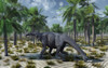 A lone herbivorous Camarasaurus sauropod dinosaur grazing during Earth's Jurassic Period of time Poster Print - Item # VARPSTMAS100785P