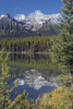 Banff National Park, Alberta, Canada; Reflection Of A Mountain In Herbert Lake PosterPrint - Item # VARDPI1866848