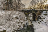 http://c328301.r1.cf1.rackcdn.com/DPI12275725LARGE.jpg