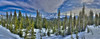 Trees on a snow covered landscape with mountain in the background, Mount Rainier, Mount Rainier National Park, Washington State, USA Poster Print - Item # VARPPI169066