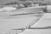 Canadian winter; Ville de Lac Brome, Quebec, Canada PosterPrint - Item # VARDPI2333721