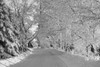 Canadian winter; Ville de Lac Brome, Quebec, Canada PosterPrint - Item # VARDPI2333723