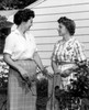 Two women talking over garden fence Poster Print - Item # VARSAL2558642