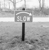Slow' warning sign Poster Print - Item # VARSAL255420513