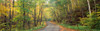 http://c328301.r1.cf1.rackcdn.com/PPI59438S.jpg