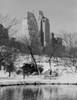 USA  New York City  Manhattan  Central Park  winter Poster Print - Item # VARSAL255422579