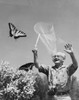 Senior man trying to catch butterflies Poster Print - Item # VARSAL25532711