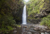 Hawaii, Maui, Alalele Falls on the Road to Hana. PosterPrint - Item # VARDPI2116363
