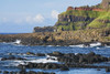 Giant's Causway, Antrim Coast, Northern Ireland; County Antrim, Ireland PosterPrint - Item # VARDPI2429633