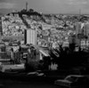 USA  California  San Francisco  cityscape with Coit Tower Poster Print - Item # VARSAL255424845