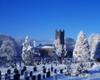 Bushmills Church, County Antrim, Ireland; Church And Cemetery In Winter PosterPrint - Item # VARDPI1810036