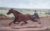 Queen Of The Turf Maud S.  Driven By W.W. Bair 1880 Currier & Ives Lithograph Poster Print - Item # VARSAL900135668