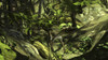 Utahraptor in a prehistoric forest Poster Print