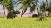 Triceratops roaming a tropical environment Poster Print - Item # VARPSTKVA600236P