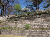 Terraced garden at Changdeokgung Palace, Seoul, South Korea Poster Print - Item # VARPPI171272
