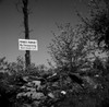 Private property warning sign on tree Poster Print - Item # VARSAL255424689