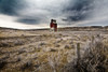 Old Grain Elevator, Dorothy, Alberta, Canada PosterPrint