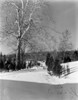 USA  Connecticut  Bloomfield  rural scene in winter Poster Print - Item # VARSAL255423592
