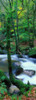 http://c328301.r1.cf1.rackcdn.com/PPI150659L.jpg