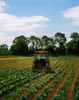 http://c328301.r1.cf1.rackcdn.com/DPI1817659LARGE.jpg