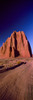 http://c328301.r1.cf1.rackcdn.com/PPI163875S.jpg
