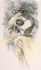 Angel Reading  nostalgia cards Poster Print