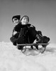 Low angle view of two boys riding a sled Poster Print - Item # VARSAL25516671