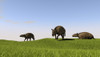 Eurohippus grazing prehistoric grasslands Poster Print - Item # VARPSTKVA600600P