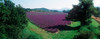 http://c328301.r1.cf1.rackcdn.com/PPI151146L.jpg