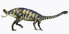 http://c328301.r1.cf1.rackcdn.com/PSTCFR200439PLARGE.jpg
