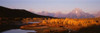 Oxbow Bend Grand Teton National Park  WY Poster Print by Panoramic Images (37 x 12) - Item # PPI30866