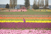 http://c328301.r1.cf1.rackcdn.com/PDDEU09JME0000B.jpg