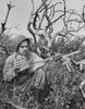 Close-up of an army soldier holding a gun and a canteen Poster Print - Item # VARSAL2554137