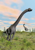 Two Brachiosaurus dinosaurs in a prehistoric environment Poster Print