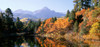 http://c328301.r1.cf1.rackcdn.com/PPI63207L.jpg