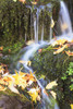 Oregon Cascades, Oregon, Usa PosterPrint - Item # VARDPI1868327