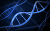 Microscopic view of DNA Poster Print - Item # VARPSTSTK700021H