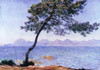 Cap d'Antibes  1888  Claude Monet  Oil on Canvas  Courtauld Institute and Galleries  London Poster Print - Item # VARSAL900103144