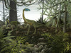 Coelophysis dinosaurs walk amongst a forest Poster Print - Item # VARPSTWMY100171P